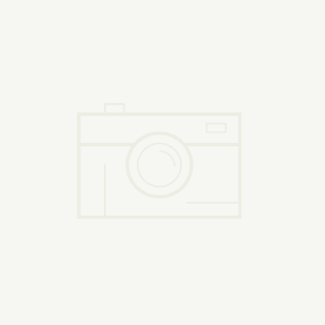 2024年溫室氣體排放碳核查報(bào)告